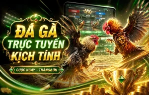Sảnh đá gà mrjustinbarker